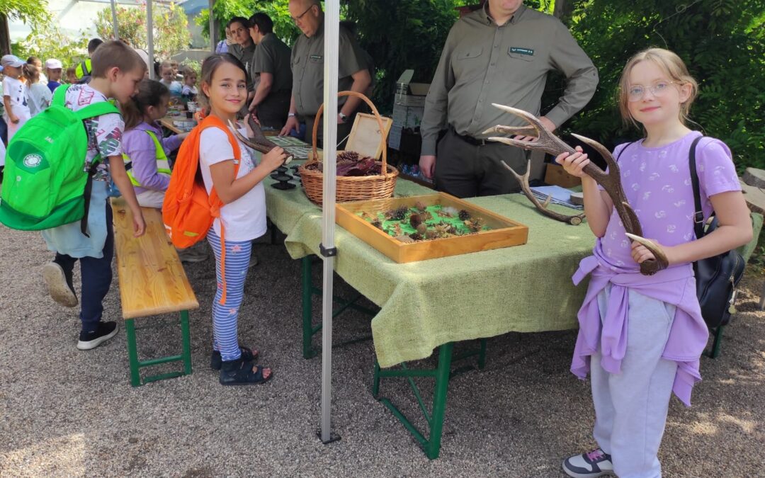 Wycieczka 2b do Ogrodu Botanicznego we Wrocławiu na EKO-PIKINIK