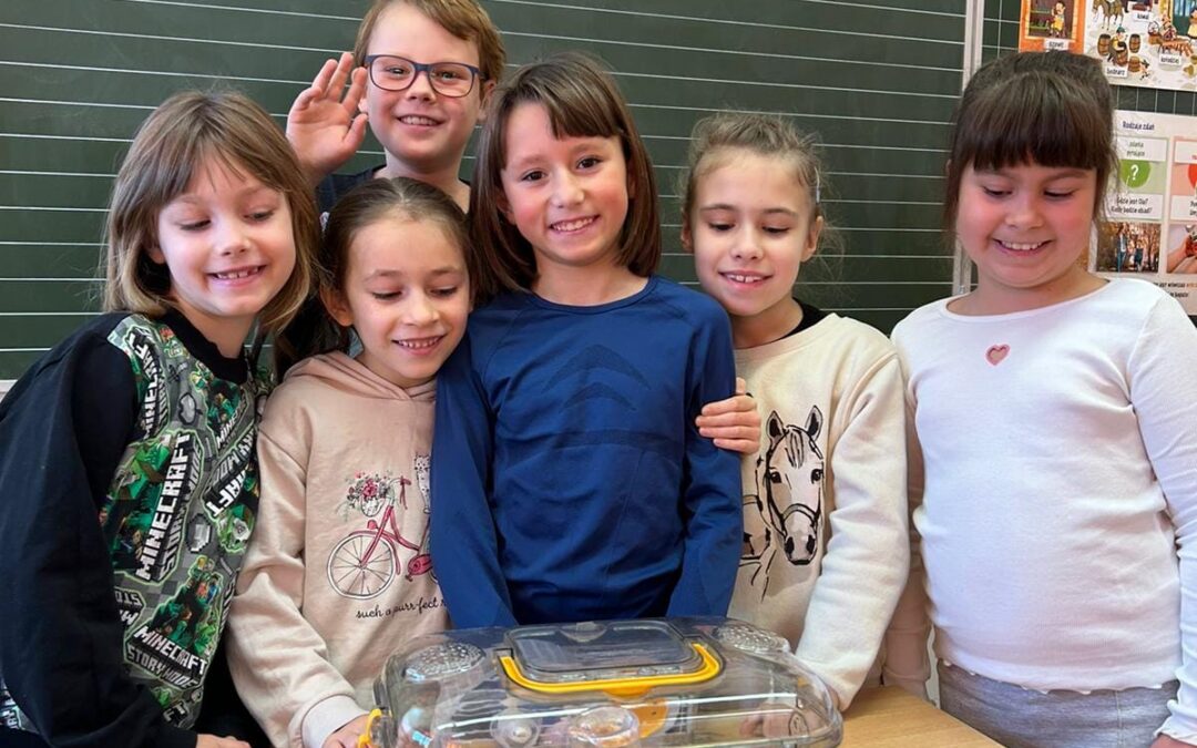 LEKCJA Z ULUBIONYMI ZWIERZAKAMI W KLASIE 2 A