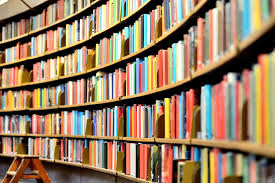 Nowości w bibliotece