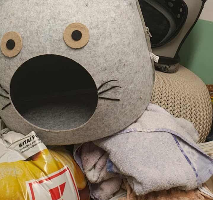 Akcja „Miska dla Schroniska”