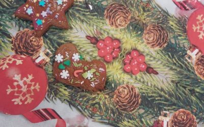 Edukacja Przyszłości – grudniowe zajęcia TUS