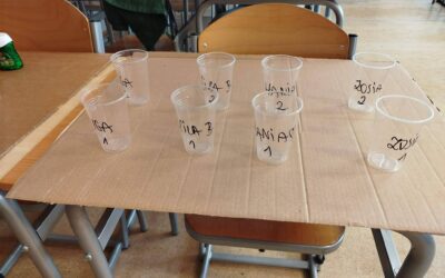 Edukacja Przyszłości – Zielona Edukacja