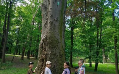 Edukacja Przyszłości-zielona edukacja kl. 1-3